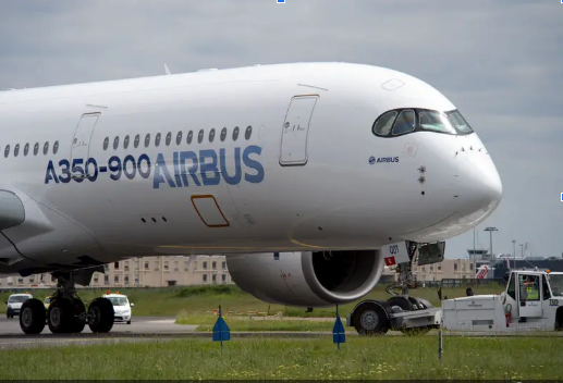 Quand la nature inspire le ciel : Le biomimétisme dans l’aviation